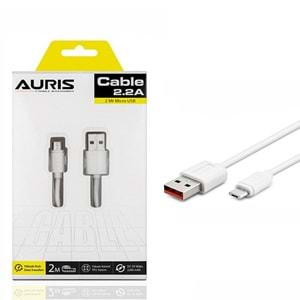 Auris ARS-CB02 Micro Kablo 2m