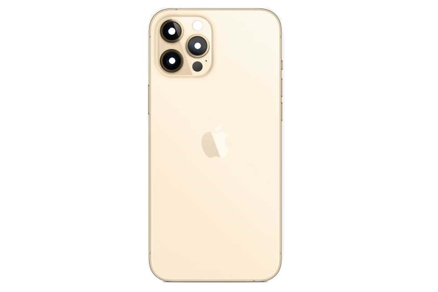 İphone 12 Pro Max Gold Arka Kapak