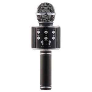 Auris Karaoke Mikrofon WS-858