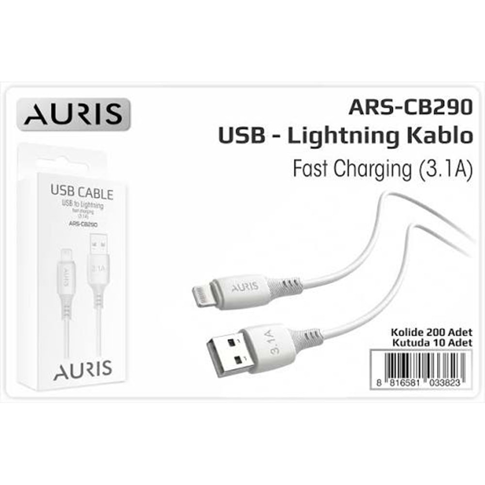 Auris CB290 3.1 Lightning Usb Şarj Kablosu