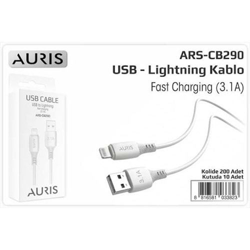 Auris CB290 3.1 Lightning Usb Şarj Kablosu