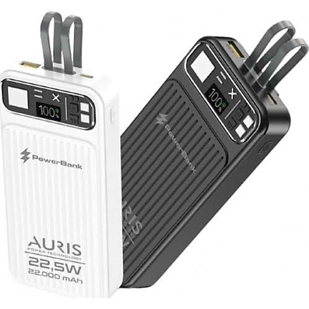 Auris Y310 22.000Mah Powerbank